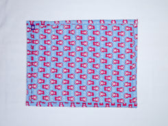 Baby Nappy Changing Mat – Sky Blue Teddy Print